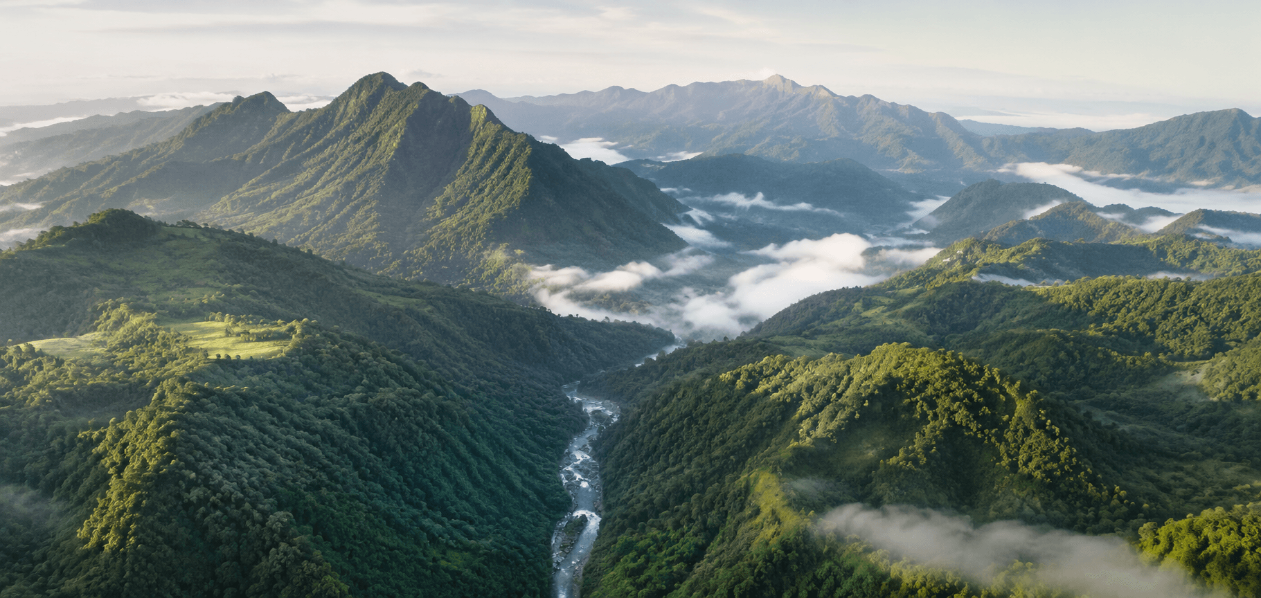 Fiji's tropical rainforest, the ecosystem behind Aqua Pacific